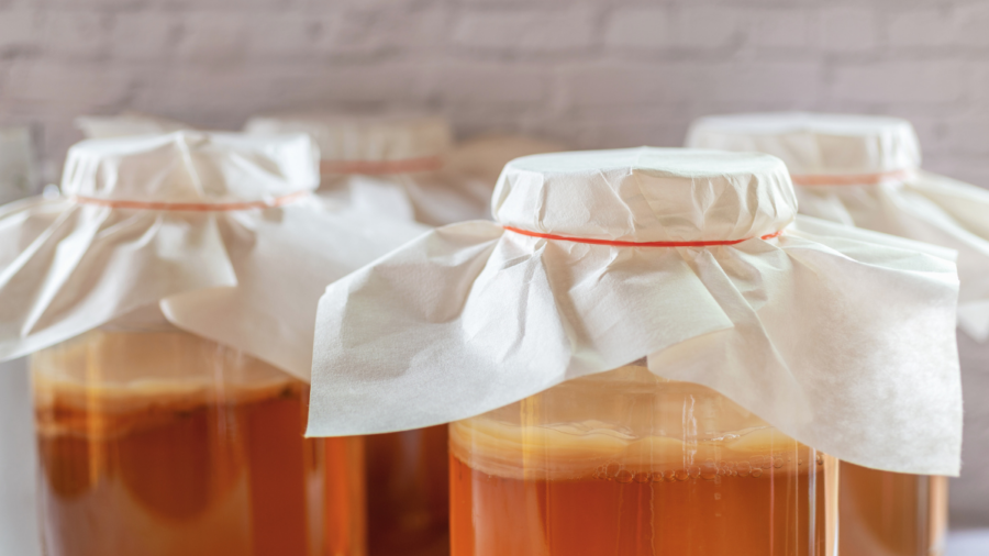 Kombucha Teepilz